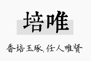 培唯名字的寓意及含义