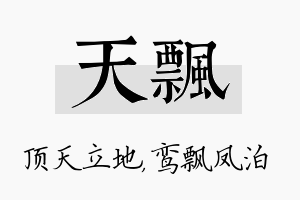 天飘名字的寓意及含义