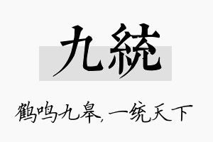 九统名字的寓意及含义