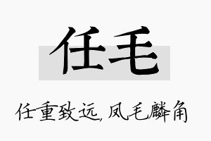 任毛名字的寓意及含义