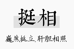 挺相名字的寓意及含义