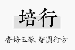 培行名字的寓意及含义