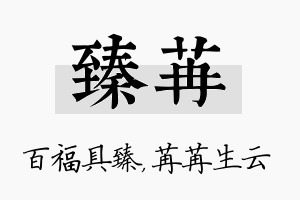 臻苒名字的寓意及含义