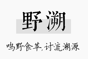 野溯名字的寓意及含义