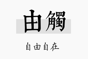 由触名字的寓意及含义