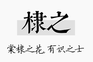 棣之名字的寓意及含义