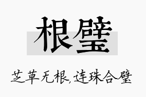 根璧名字的寓意及含义