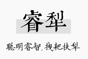 睿犁名字的寓意及含义