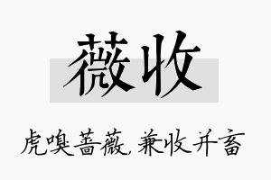 薇收名字的寓意及含义