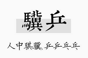 骥乒名字的寓意及含义