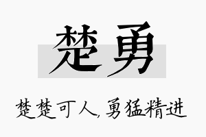 楚勇名字的寓意及含义