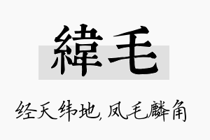 纬毛名字的寓意及含义