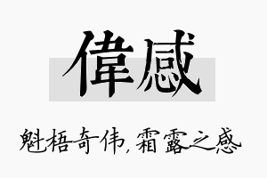 伟感名字的寓意及含义