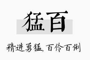 猛百名字的寓意及含义