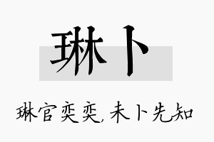 琳卜名字的寓意及含义