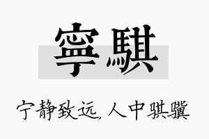 宁骐名字的寓意及含义