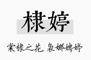 棣婷名字的寓意及含义