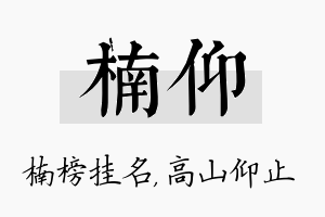 楠仰名字的寓意及含义