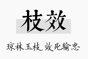 枝效名字的寓意及含义