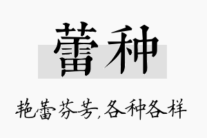 蕾种名字的寓意及含义