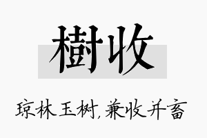 树收名字的寓意及含义