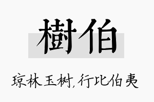 树伯名字的寓意及含义