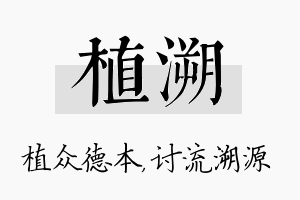 植溯名字的寓意及含义