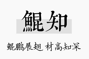 鲲知名字的寓意及含义