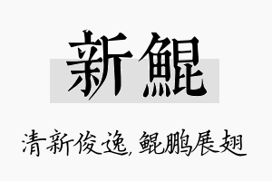 新鲲名字的寓意及含义