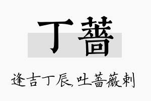 丁蔷名字的寓意及含义