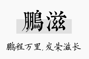 鹏滋名字的寓意及含义