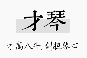 才琴名字的寓意及含义