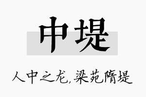 中堤名字的寓意及含义