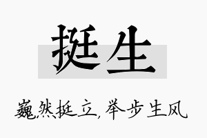 挺生名字的寓意及含义