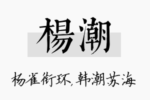 杨潮名字的寓意及含义