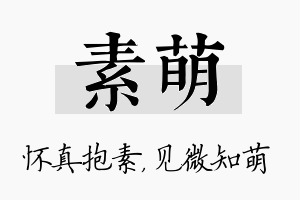 素萌名字的寓意及含义