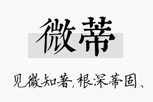 微蒂名字的寓意及含义