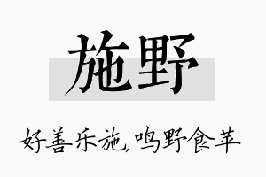 施野名字的寓意及含义