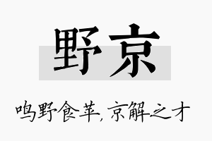 野京名字的寓意及含义