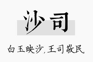 沙司名字的寓意及含义