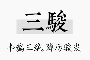 三骏名字的寓意及含义