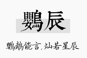 鹦辰名字的寓意及含义