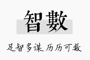 智数名字的寓意及含义