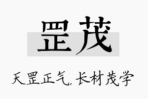 罡茂名字的寓意及含义