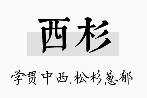 西杉名字的寓意及含义