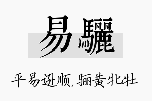 易骊名字的寓意及含义