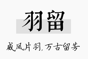 羽留名字的寓意及含义