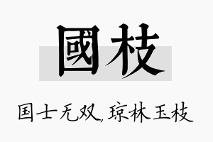 国枝名字的寓意及含义