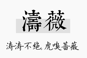 涛薇名字的寓意及含义