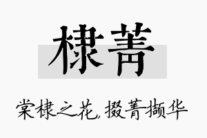 棣菁名字的寓意及含义